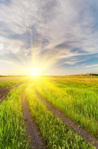 Sommerlandschaft mit grünem Gras