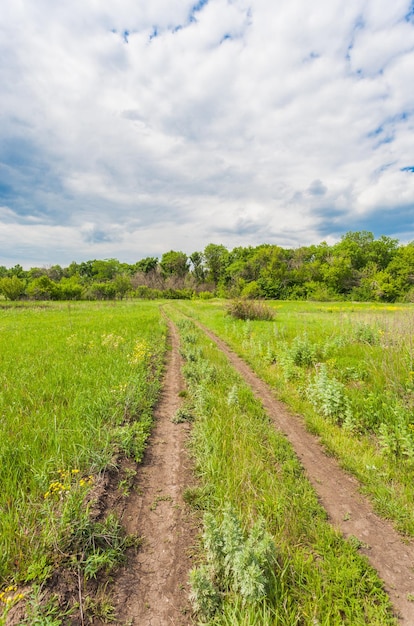 Sommerlandschaft mit grünem Gras