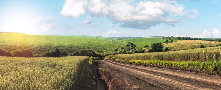 Sommerlandschaft mit grüner Grasstraße und Wolken