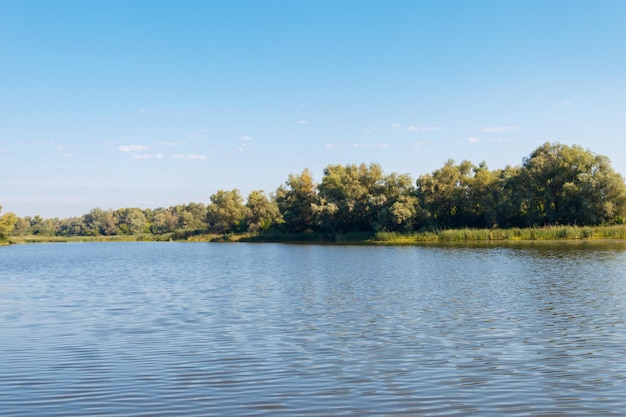 Sommerlandschaft mit schönem Fluss, grünen Bäumen und blauem Himmel