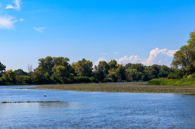 Sommerlandschaft mit schönen flussgrünen Bäumen und blauem Himmel