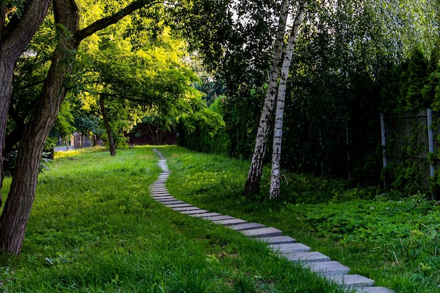 Sommerlandschaft Steinpfad unter grünen Pflanzen und Birken