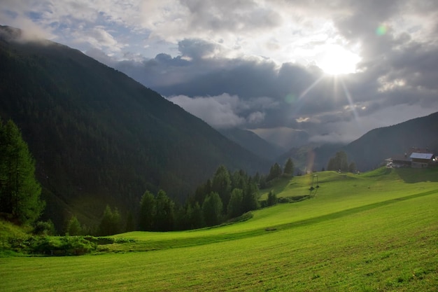 Sommerlandschaft Wald und Wiese