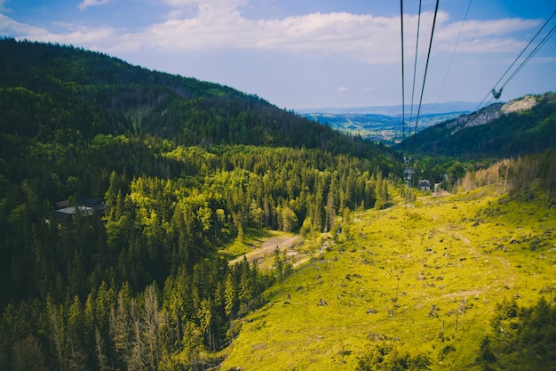 Sommerliche Berglandschaft mit grünen hohen dichten Bäumen, hellgrünem hellem Tal und Seilbahn bis zu den Bergen. Reise- und Urlaubskonzept.