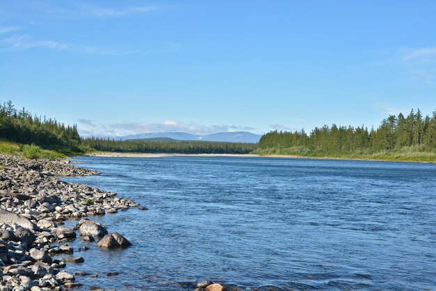 Sommerliche Flusslandschaft