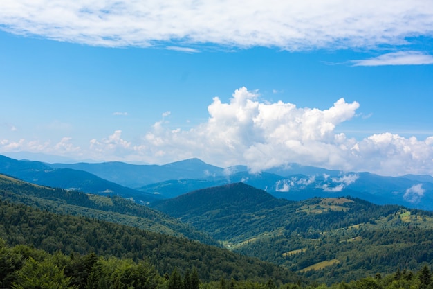 Sommerliche Naturlandschaft der Karpaty Mountains.