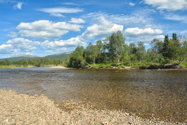 Sommerliche Taiga-Flusslandschaft