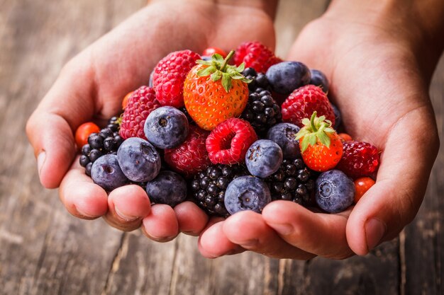 Sommerliche Waldbeeren in Händen - Himbeere, Erdbeere, Brombeere und Heidelbeere