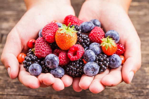 Sommerliche Waldbeeren in Händen - Himbeere, Erdbeere, Brombeere und Heidelbeere