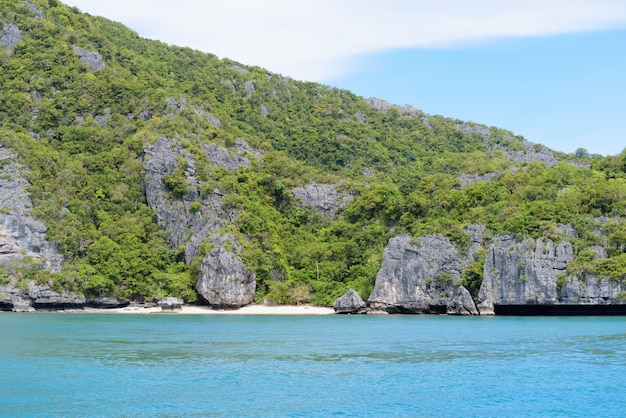 Sommermeerblick, grüne Insel mit blauem Himmel