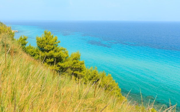 Sommermeerküstenmorgenlandschaft (Kassandra-Halbinsel, Chalkidiki, Griechenland).