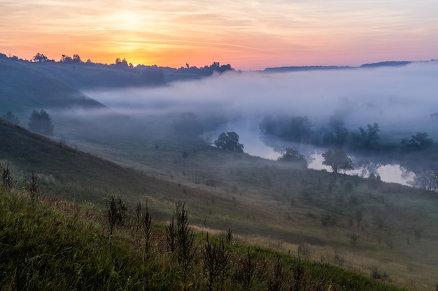 Sommermorgennebel am Fluss hinter wildem grünem Hang und weitem Wald