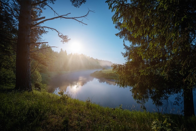 Sommernacht an einem Fluss