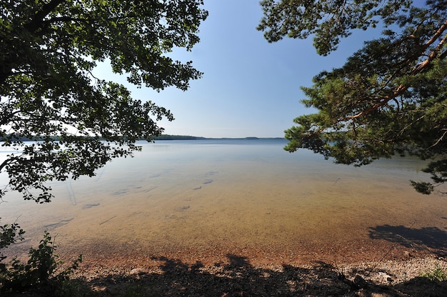 Sommernaturlandschaft auf See Beloe