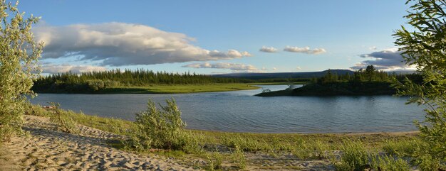 Sommerpanorama des Flusses in Yamal