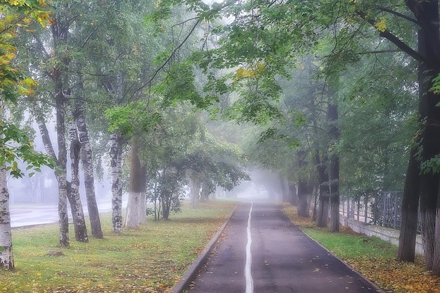 Sommerpark Stadtnebel / schöne Stadtlandschaft