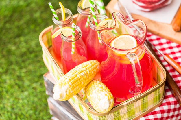 Sommerpicknick mit kleinem Holzkohlegrill im Park.