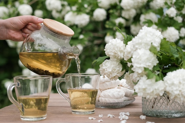 Sommerpicknick mit Tee und Marshmallows im Sommergarten Teetrinken im Garten