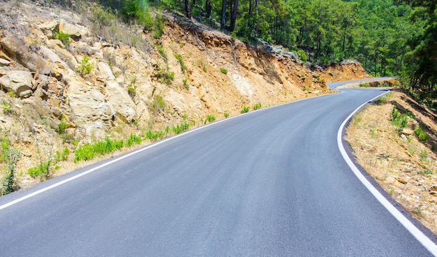 Sommerreisehintergrund - geschwungene Asphaltstraße im Wald