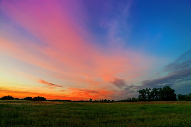 Sommersonnenuntergang mit rosa orange Wolken über einem grünen Feld