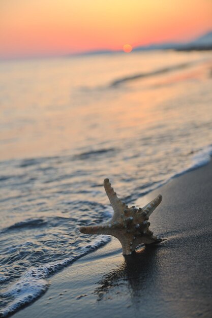 sommerstrand sonnenuntergang mit stern am strand, der freiheitsfrischen und reisekonzept darstellt