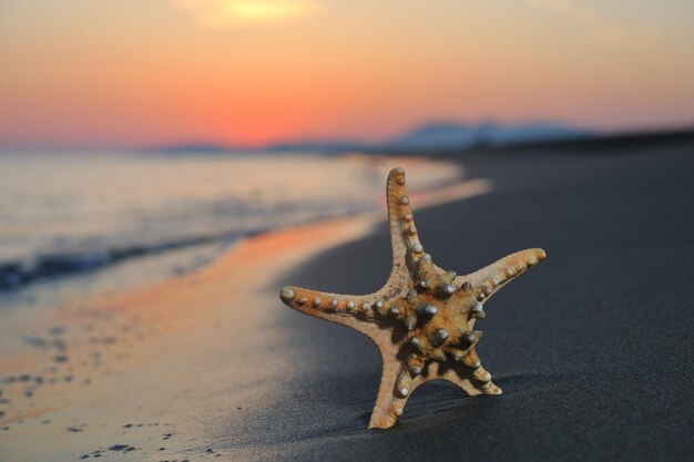 Foto sommerstrand sonnenuntergang mit stern am strand, der freiheitsfrischen und reisekonzept darstellt