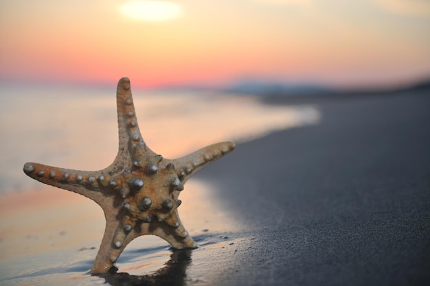 sommerstrand sonnenuntergang mit stern am strand, der freiheitsfrischen und reisekonzept darstellt
