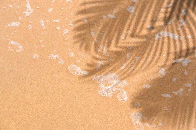 Sommerstrand-Tagesszene mit tropischen Palmblättern Schatten auf Sandhintergrund Minimales Sonnenlicht tropica