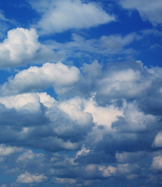 Sommertag mit blauem Himmel