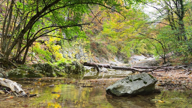 Sommertag Waldbachwasser mit Bewegungsunschärfewellen