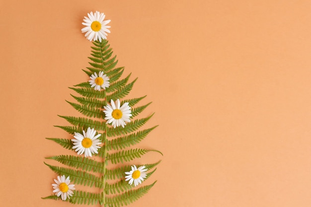 Sommerweihnachtsbaum aus Farn- und Kamillenblüten mit Kopierraum. Alternative Feier des neuen Jahres