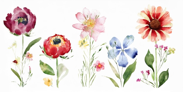 Sommerwildblumen im Pinsel-Stil Aquarell