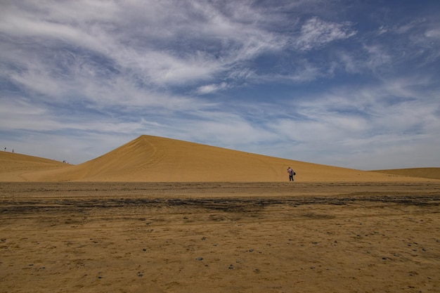 Sommerwüstenlandschaft an einem warmen, sonnigen Tag von den Maspalomas-Dünen auf der spanischen Insel Gran Canaria