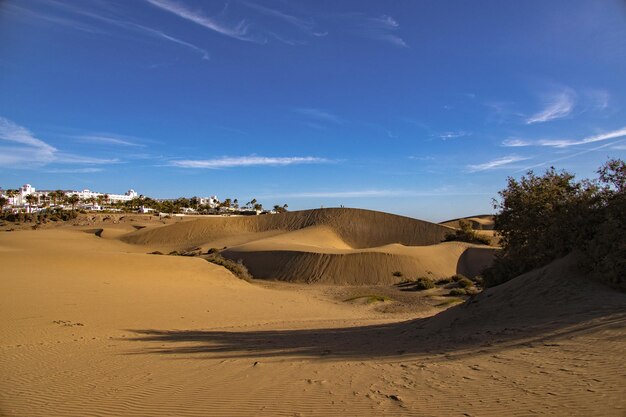 Sommerwüstenlandschaft an einem warmen, sonnigen Tag von den Maspalomas-Dünen auf der spanischen Insel Gran Canaria