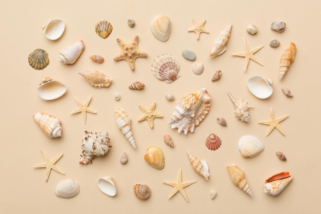 Foto sommerzeitkonzept flache lay-komposition mit schönen seesternen und muscheln auf farbiger tischplatte