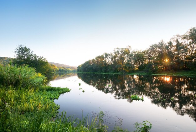 Sonne hinter den Bäumen am Fluss