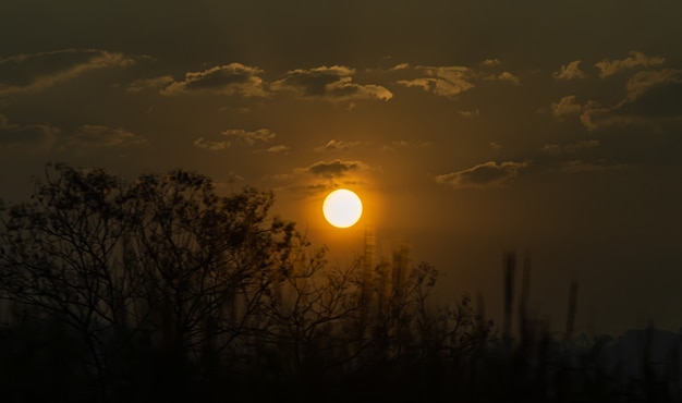 Sonne in der Morgenzeit