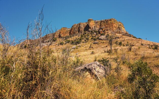 Sonne scheint auf Gras und Büsche, kleine felsige Berge im Hintergrund, typische Landschaft im Isalo Nationalpark Madagaskar