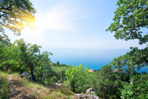 Sonne und klarer Himmel über dem blauen Meer