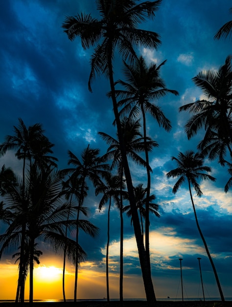 Sonnenaufgang am Itaparica Beach