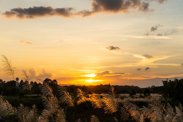 Foto sonnenaufgang am morgen.