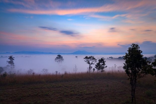 Sonnenaufgang am nebligen Morgen im Nationalpark Thung Salang Luang PhetchabunThailandxA