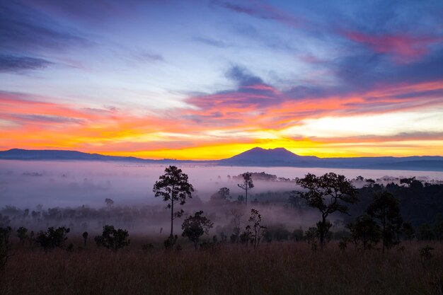 Sonnenaufgang am nebligen Morgen im Thung Salang Luang Nationalpark PhetchabunThailand