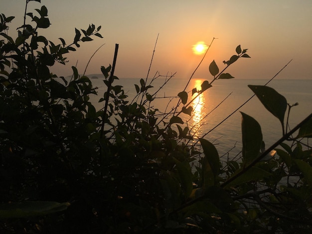 Foto sonnenaufgang am späten nachmittag an der ostküste thailands machen sie ein foto von einer hohen klippe