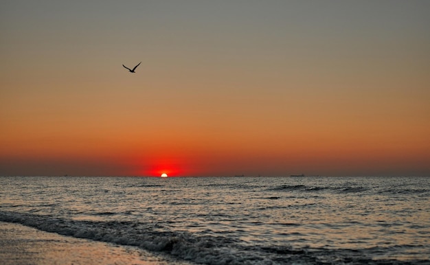 Sonnenaufgang auf dem Meer