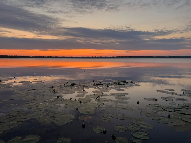 Sonnenaufgang auf dem Voloyarvi-See, Russland