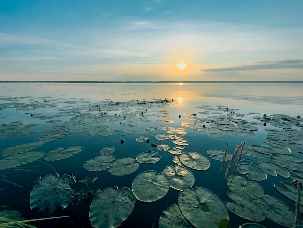 Sonnenaufgang auf dem Voloyarvi-See, Russland