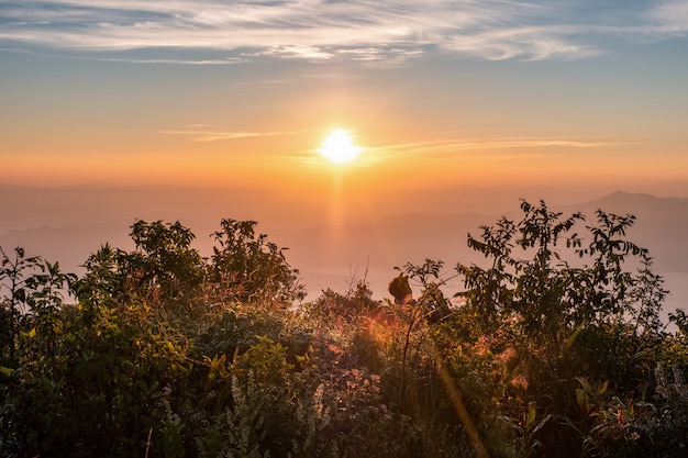 Sonnenaufgang, der auf Busch am Morgen glänzt