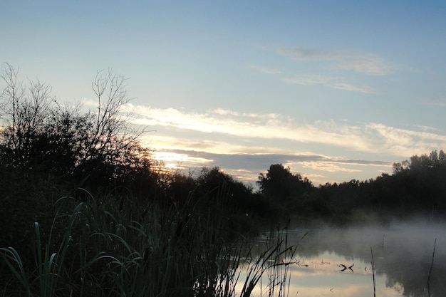 Sonnenaufgang im Fluss mit Morgennebel. Nebel über Wasser und Bäumen Waldreflexion am See. Natur und Landschaft. Sonnenuntergang mit Sonne, die gerade im blauen Himmel erscheint. Sommer auf dem Land. Nebelige und neblige Landschaft