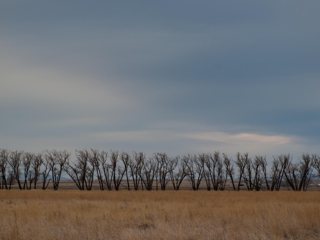 Sonnenaufgang im Monte Vista National Wildlife Refuge